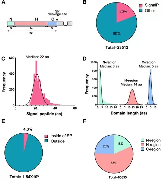 Detection of signal peptides and signal peptide missense variants at the whole human genome.